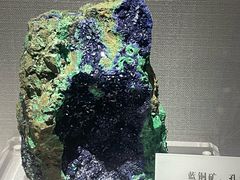 -湖南省地质博物馆