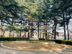 -青岛海滨风景区