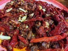 -柴窝堡22号辣子鸡·传承新疆菜