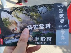 -杨家堂村