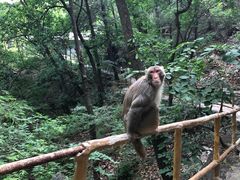 -北京上方山国家森林公园