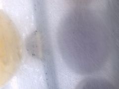 -亚龙湾喜来登·美景台大堂吧