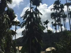 -海南槟榔谷黎苗文化旅游区