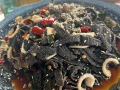 刺五加呛毛肚-绿草墩