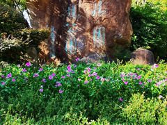 -苏州河梦清园环保主题公园