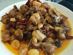 -志晖园圆子鸡·辣子鸡(阳光店)