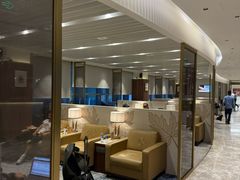 -英迪拉·甘地国际机场