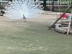 -哈尔滨北方森林动物园