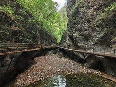 -九龙潭景区