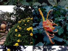 -味先肠粉(康王南店)