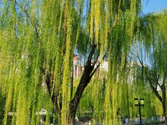-泉城广场
