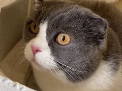 -悦宠动物医院(京丰分院)