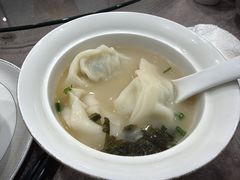 -丁老爷子苏香圆