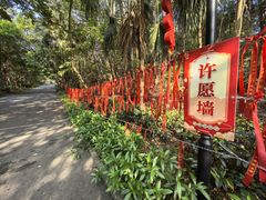 -三水森林公园