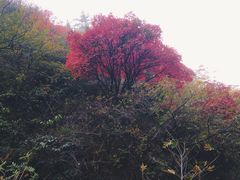 -潭溪山