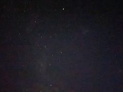 -企鹅岛