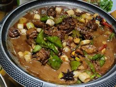 -大胡同天津菜·海肠捞饭·津门皮皮虾锅贴一绝(西姜井店)