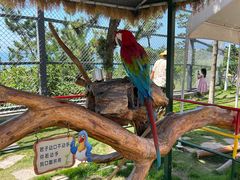 -西霞口神雕山野生动物世界