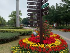 -万绿园