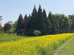 -北坞公园