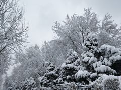 -邵汇大虾(泉园一路店)