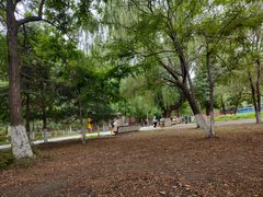 -长白岛森林公园