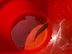 -宁波五龙潭景区