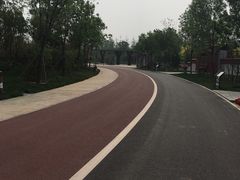 -武清南湖绿博园