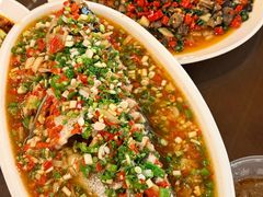 飞虹鱼-飞虹鱼馆(春华路店)