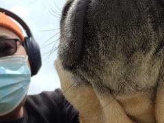 -宠爱有家宠物店(环镇北路店)