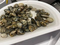 -龍歌自助小火锅(李沧顺和汇店)