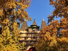 -北京石刻艺术博物馆(五塔寺)