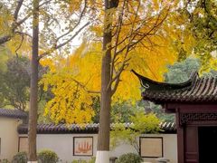 -郑和公园