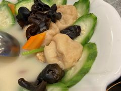 胜瓜云耳浸鱼腐-池记大牌档(广纸店)