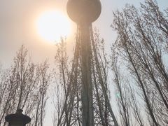 -龙塔