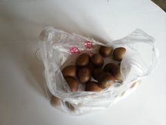 -宁波五龙潭景区