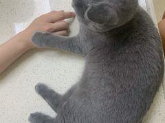 -芭比堂动物医院广州顽皮分院