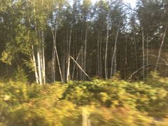 -北极村旅游风景区