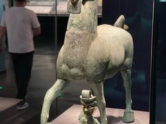 -广西壮族自治区博物馆