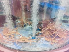 -海底捞大排档火锅(打浦路店)