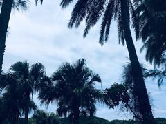 -鹅銮鼻公园