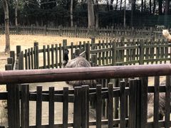 -南昌动物园