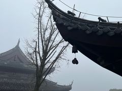 -穹窿山景区