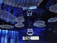 -盒马X会员店(上海森兰商都店)