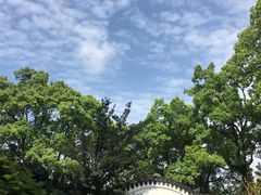 -南山植物园
