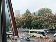 -绿雪芽白茶(浙大华家池校区凯旋路店)