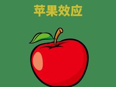 -观心实验室·心理咨询(上海旗舰店)