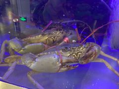 水产区-七欣天(浦东羽山乐坊店)