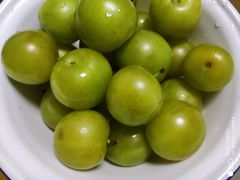 -呼吸森林·生态农庄农家乐私房菜