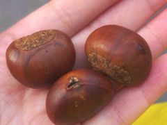 -粒上皇(悦荟广场店)